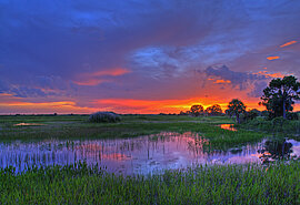 Everglades Nationalpark, USA