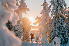 Finnland Landschaft