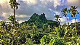 Landschaft von Raiatea, Französisch Polynesien