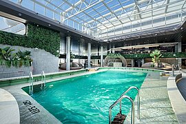 Botanic Garden Pool, MSC World Europa
