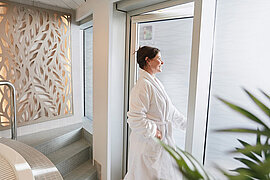 SPA, Finnlines Fähre