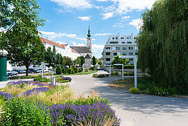 Tulln