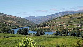 Dourotal, Portugal