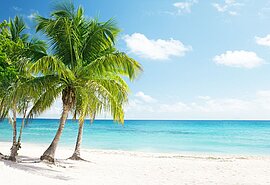 Strand, Insel, Karibik