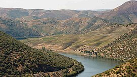 Dourotal, Portugal