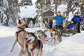 Huskyfarm in Finnland