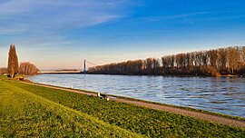 Rheinischer Mitdeich mit Rheinbrücke bei Speyer, Deutschland