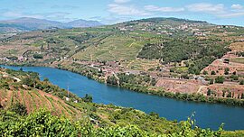 Dourotal, Portugal