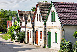 Kalocsa