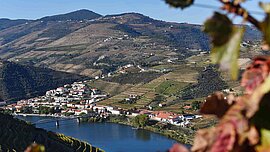 Dourotal, Portugal