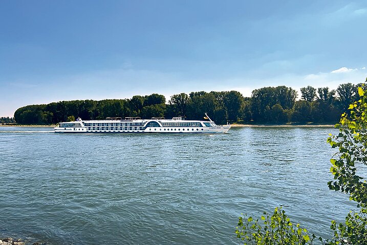 MS COMPASS OPERA