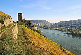 Burg Ehrenfels bei Rüdesheim, Deutschland