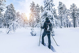 Schneewanderung in Finnland