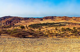 Naturreservat Sir Bani Yas, Vereinigten Arabischen Emiraten