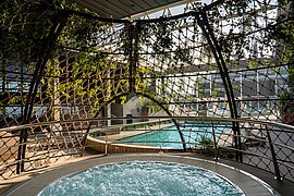 Boatanischer Garten Pool, MSC World Europa