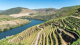 Dourotal, Portugal