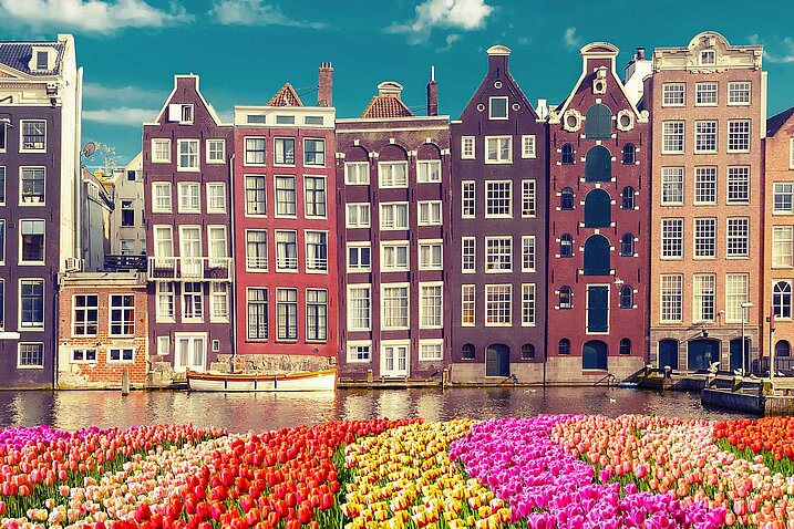 Tulpen in Amsterdam, Niederlande