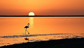 Sonnenuntergang, Walfischbai, Namibia