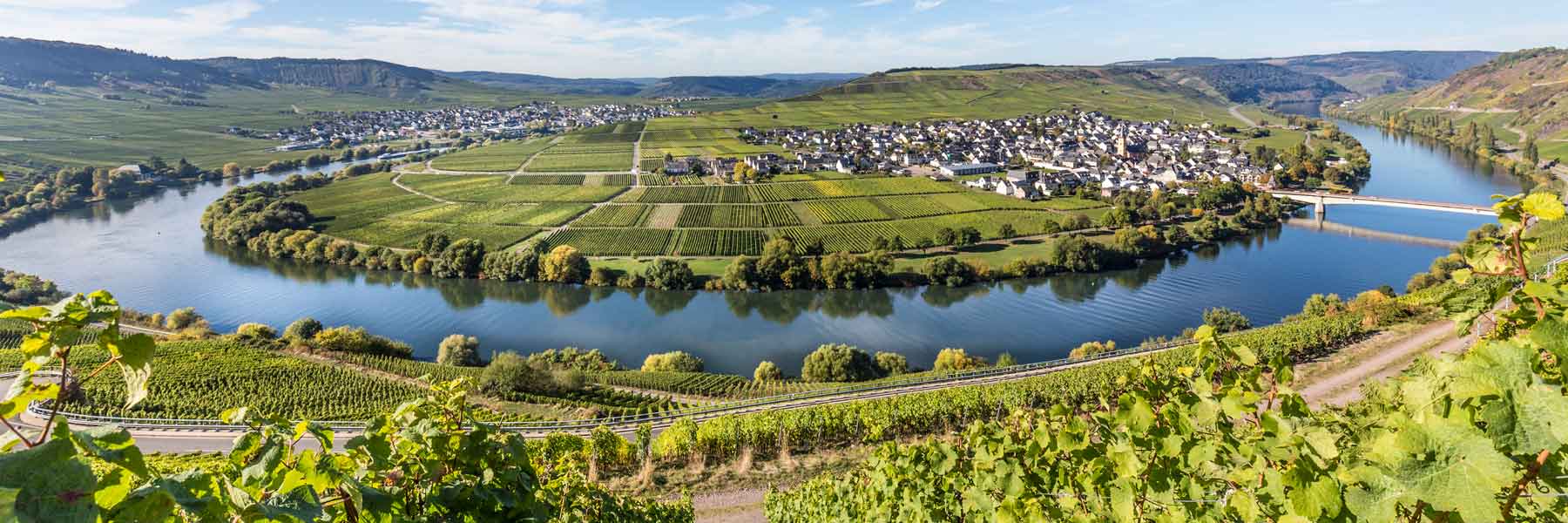 Moselschleife bei Trittenheim, Deutschland